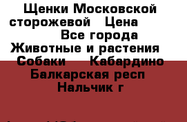 Щенки Московской сторожевой › Цена ­ 35 000 - Все города Животные и растения » Собаки   . Кабардино-Балкарская респ.,Нальчик г.